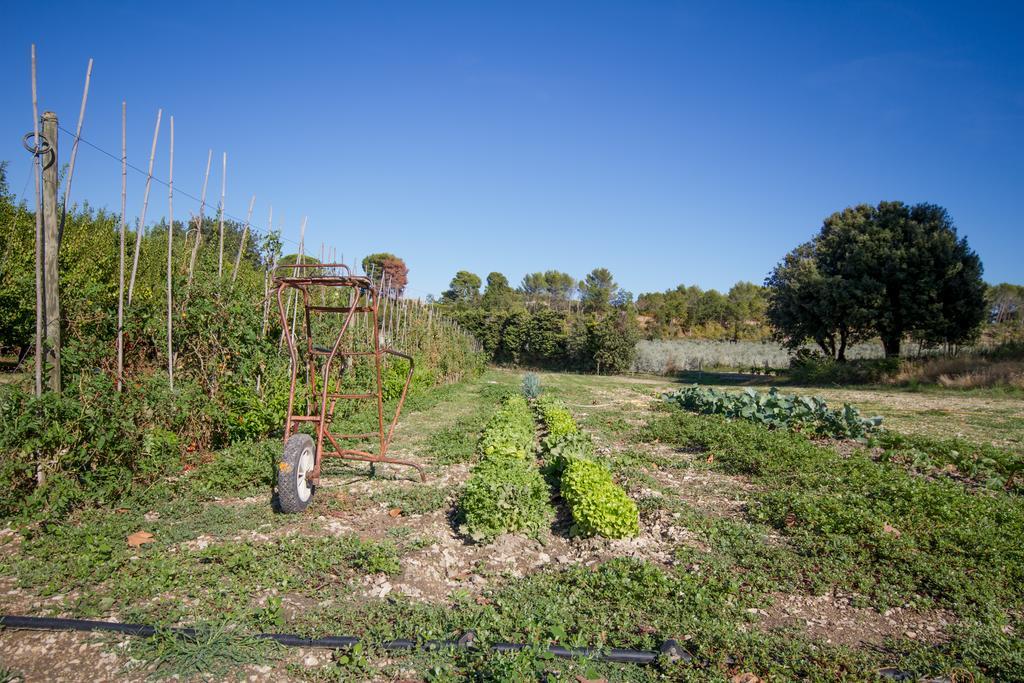 Les Residences De Metifiot Saint-Rémy-de-Provence 외부 사진