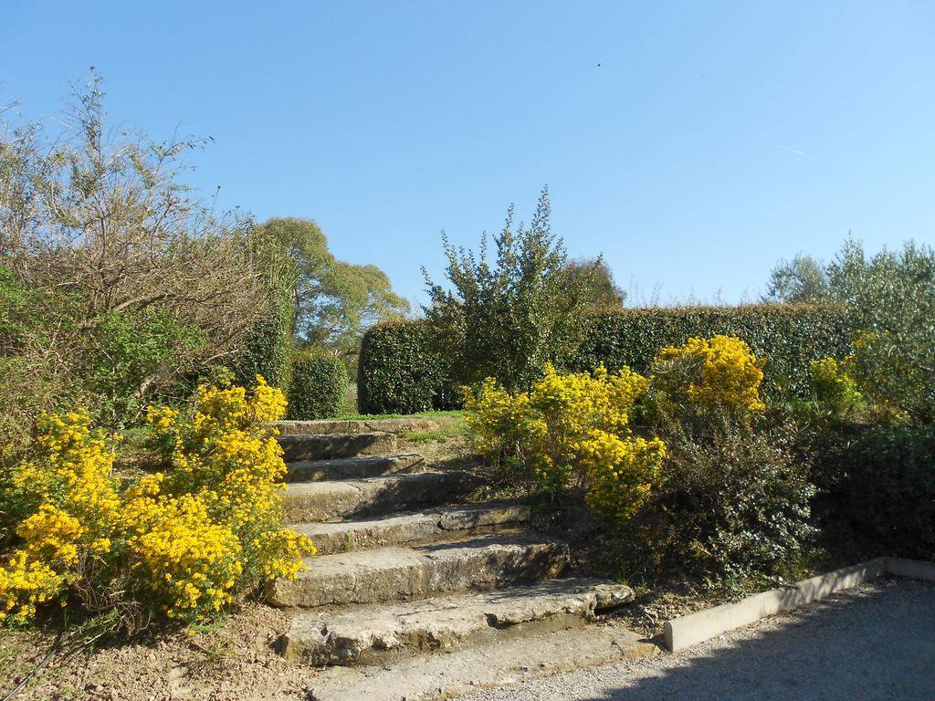 Les Residences De Metifiot Saint-Rémy-de-Provence 외부 사진