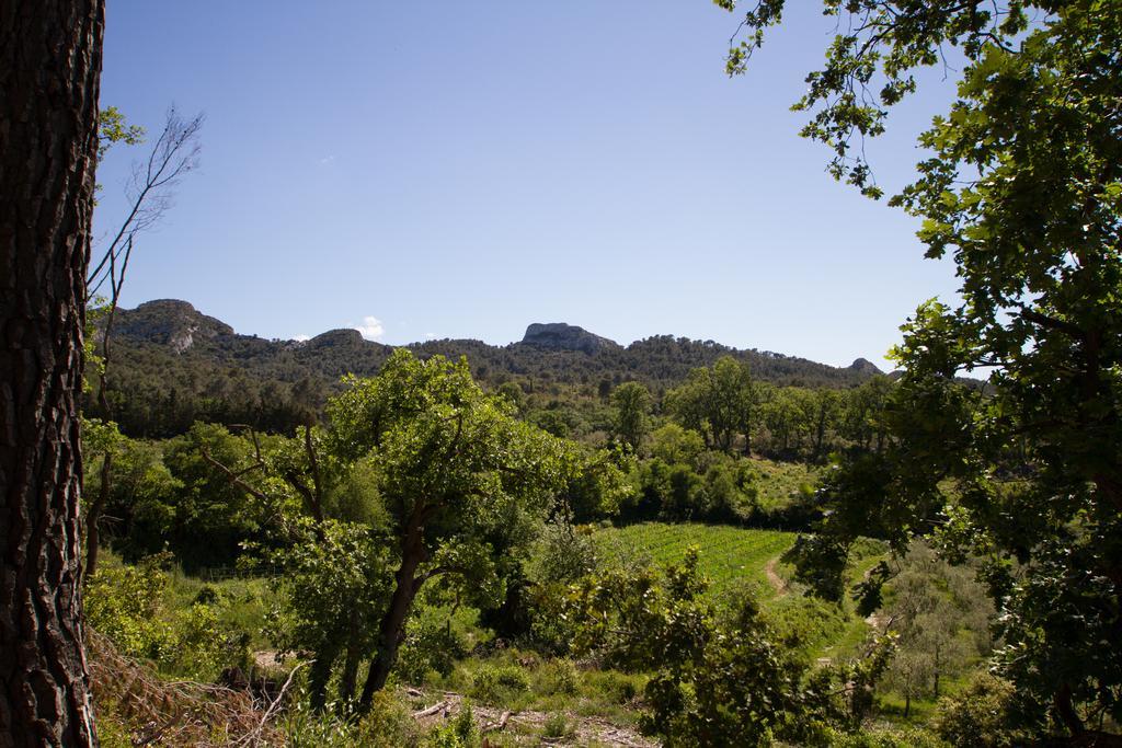 Les Residences De Metifiot Saint-Rémy-de-Provence 외부 사진